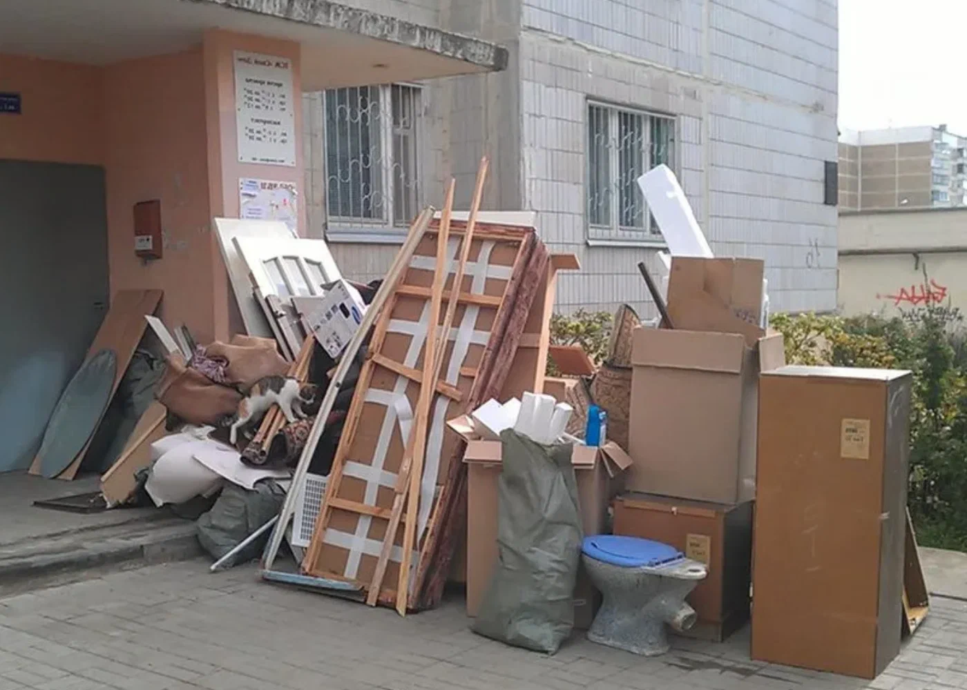 Профессиональный вывоз мусора из квартиры в Холмске в октябре