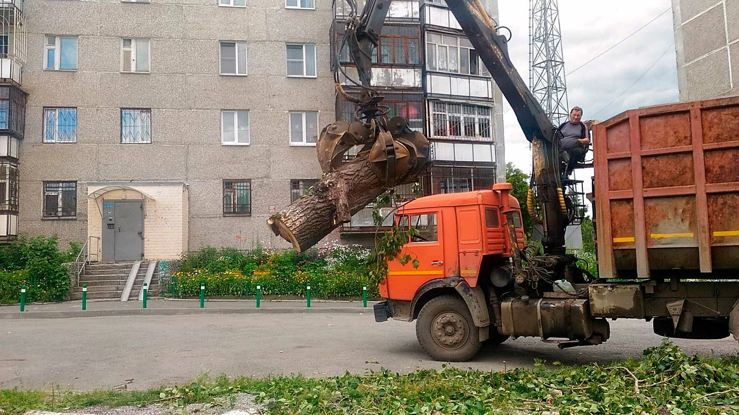 Вывоз спиленных веток и деревьев в Холмске от ПроМусор: порубочные остатки, утилизация, цена от 2979 руб