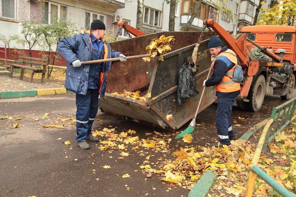 Вывоз опавшей листвы и растительного мусора в Холмске от ПроМусор – цена от 4622 руб., быстрая уборка и утилизация